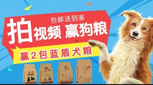 超级狗粮爆料视频在线观看,独家爆料视频带你领略宠物美食世界